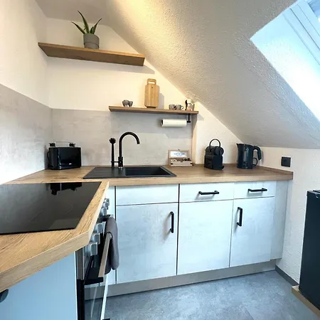 公寓 Liza's 埃尔福特